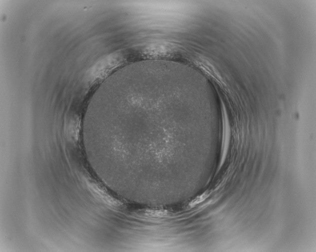 X0000086970458200704161548