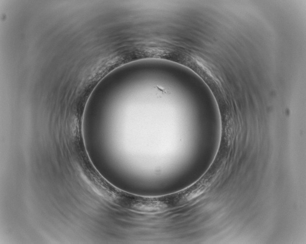 X0000086970459200704161548