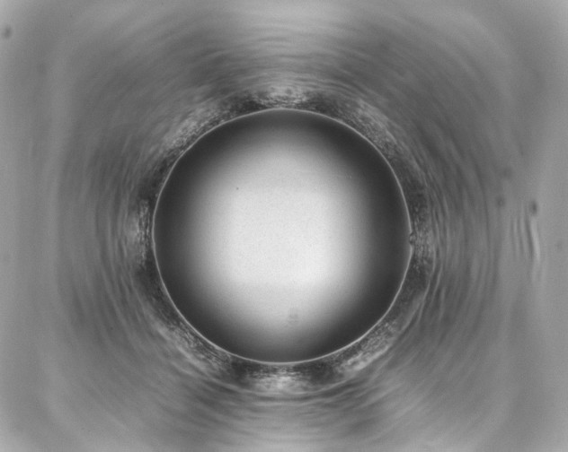 X0000086970460200704161548