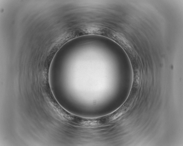 X0000086970461200704161548