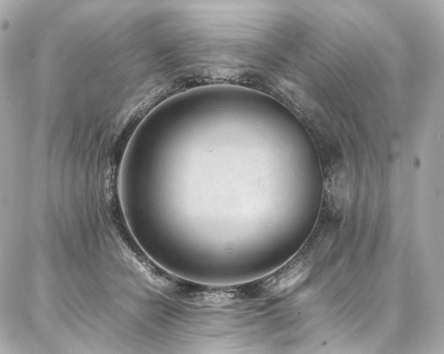 X0000086970462200704161548