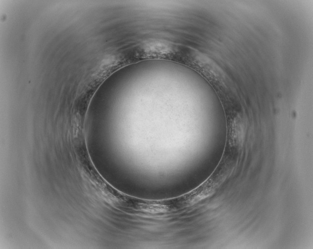 X0000086970463200704161548