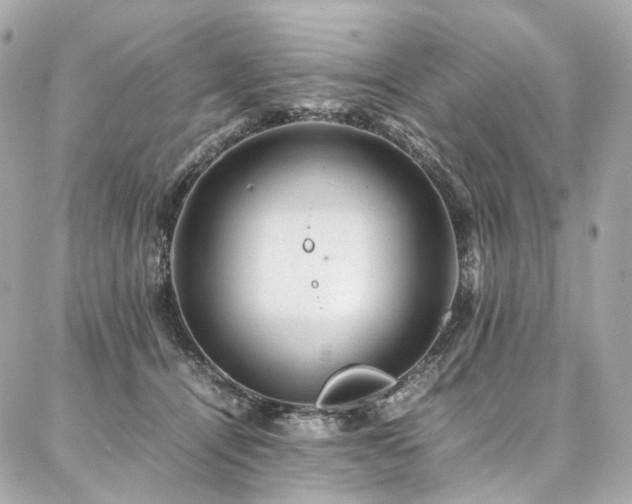 X0000086970464200704161548