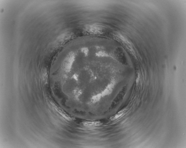 X0000086970465200704161548