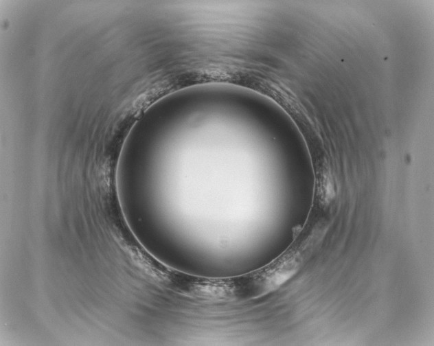 X0000086970466200704161548