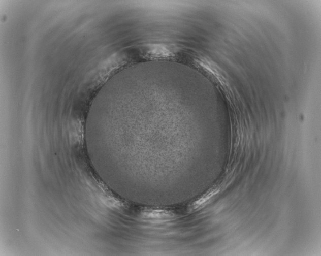 X0000086970467200704161548