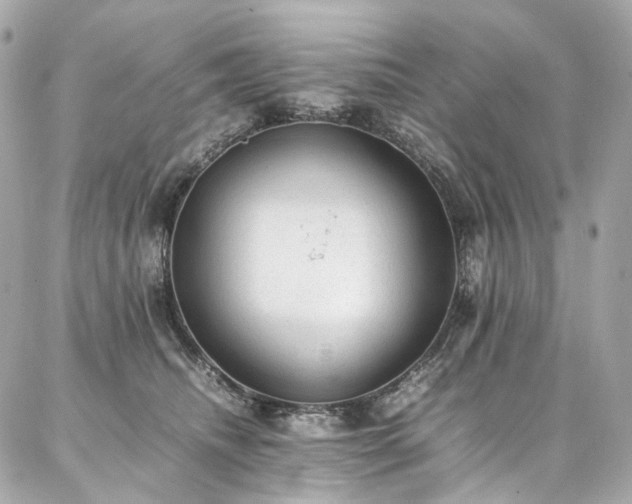 X0000086970468200704161548