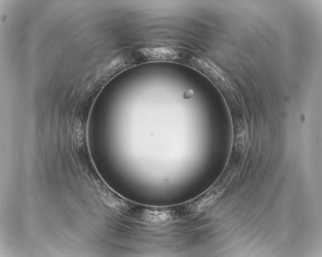 X0000086970469200704161548