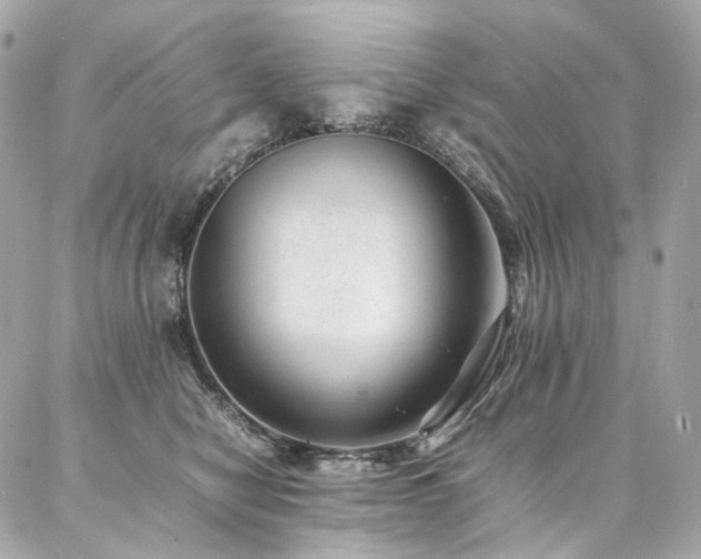 X0000086970470200704161548