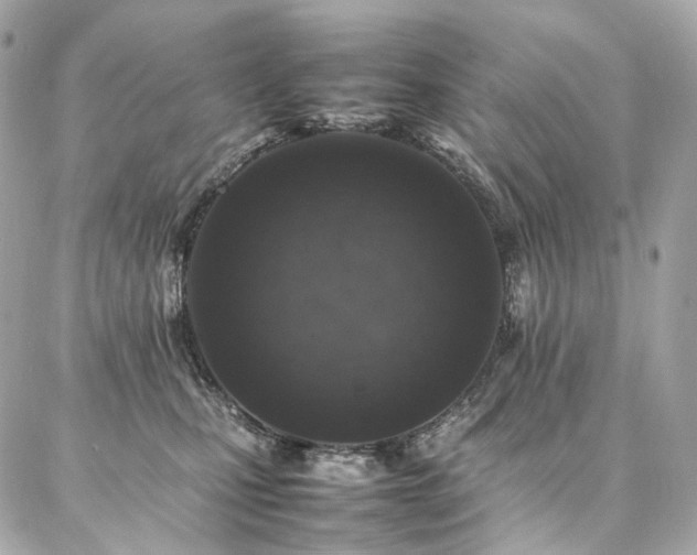 X0000086970471200704161548