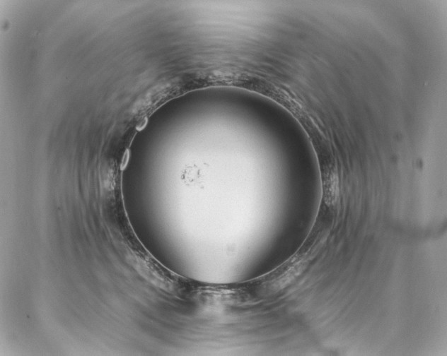 X0000086970472200704161548