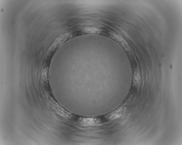 X0000086970473200704161548