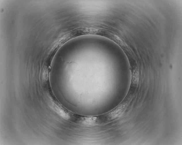 X0000086970474200704161548