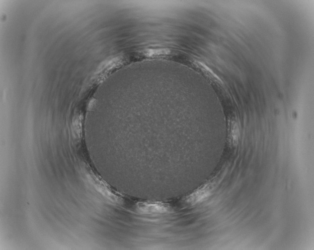 X0000086970475200704161548