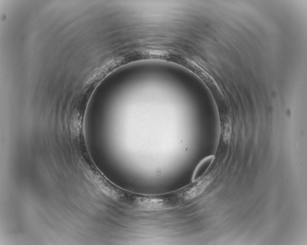 X0000086970476200704161548