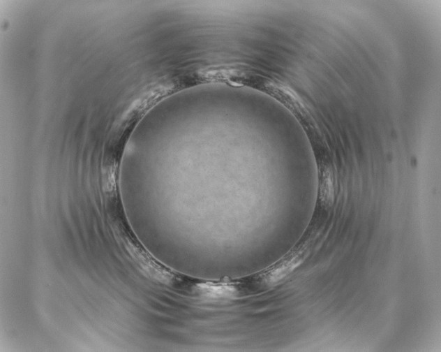 X0000086970477200704161548