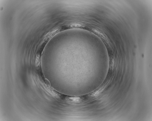 X0000086970478200704161548