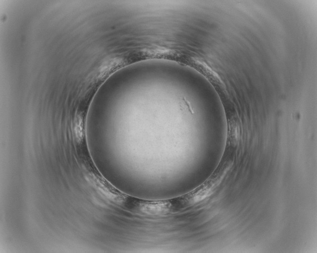 X0000086970479200704161548