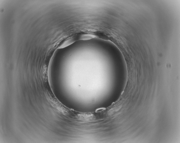 X0000086970480200704161548