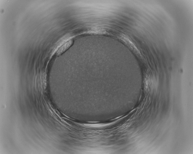 X0000086970484200704161547