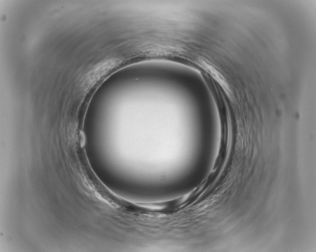 X0000086970485200704161547