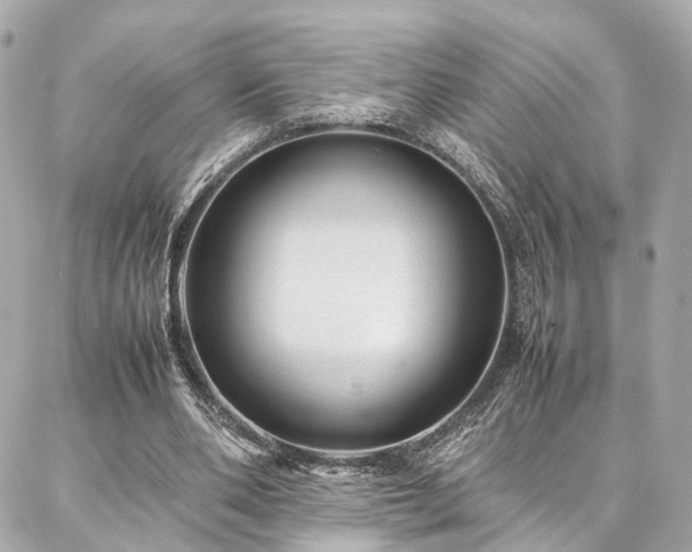 X0000086970486200704161547