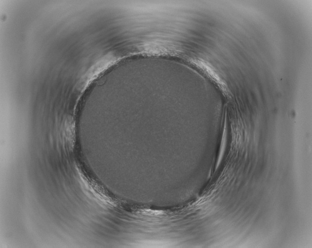 X0000086970488200704161547