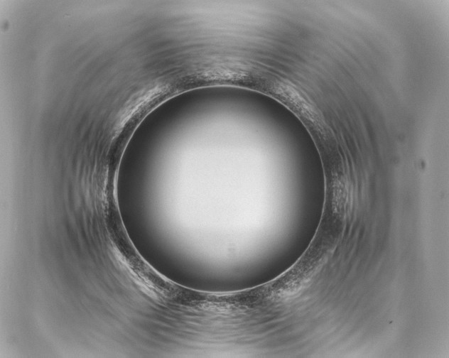 X0000086970490200704161547