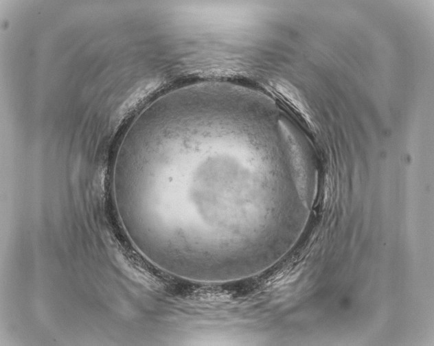 X0000086970491200704161547