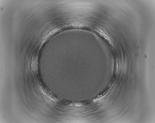 X0000086970492200704161547