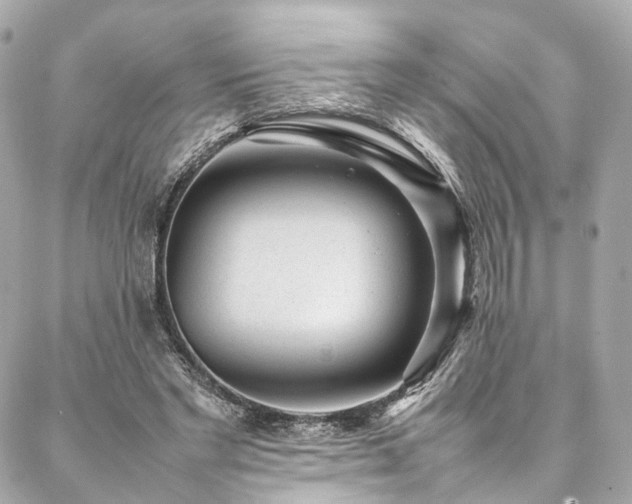 X0000086970493200704161547