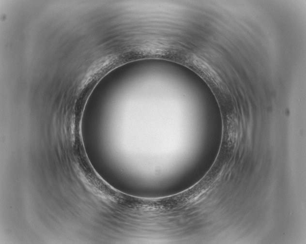 X0000086970494200704161547