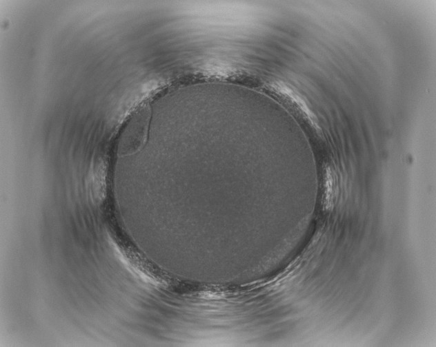 X0000086970496200704161547