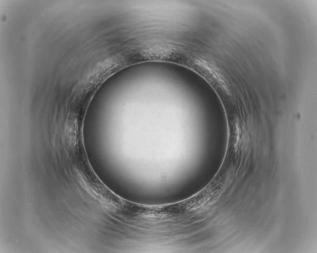 X0000086970498200704161547