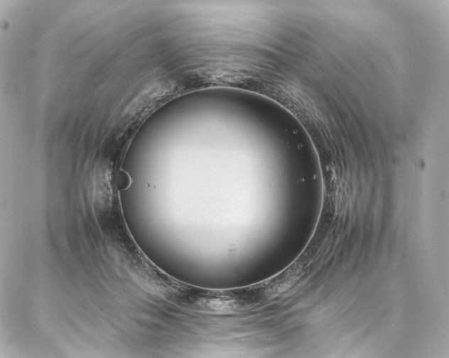 X0000086970506200704161547