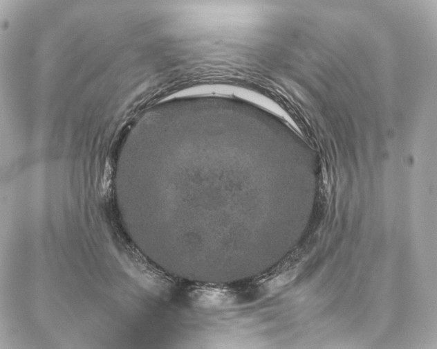 X0000086970507200704161547