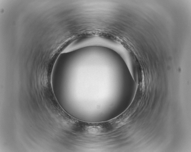 X0000086970508200704161547