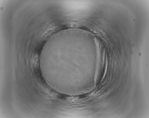 X0000086970511200704161547