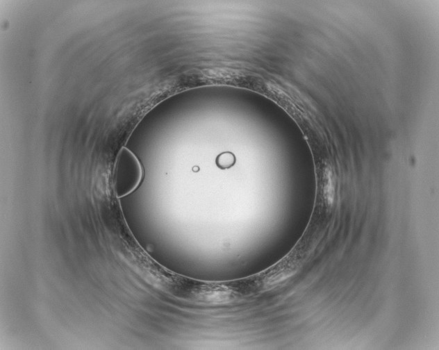 X0000086970514200704161547