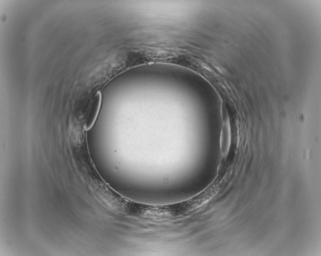 X0000086970515200704161547