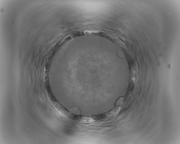 X0000086970519200704161547