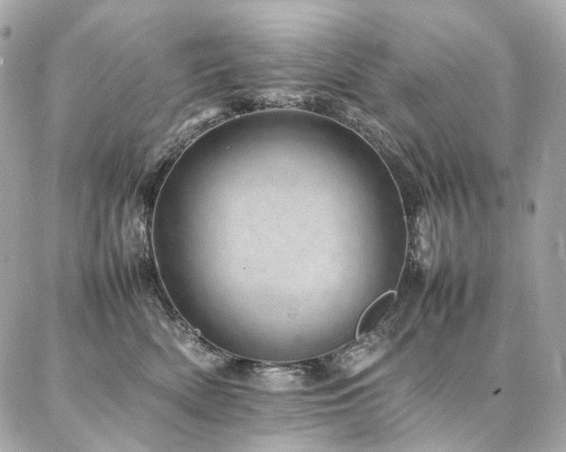 X0000086970522200704161546