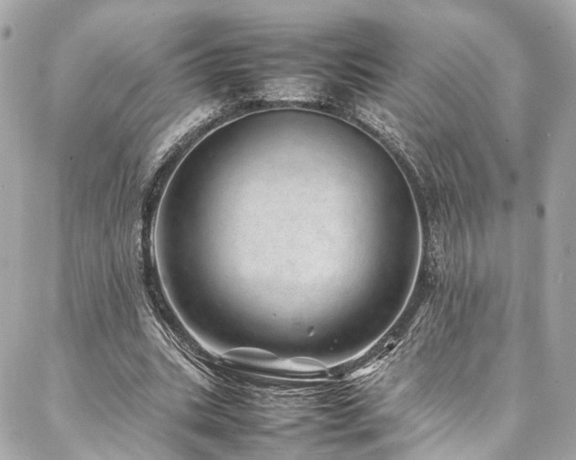 X0000086970535200704161546