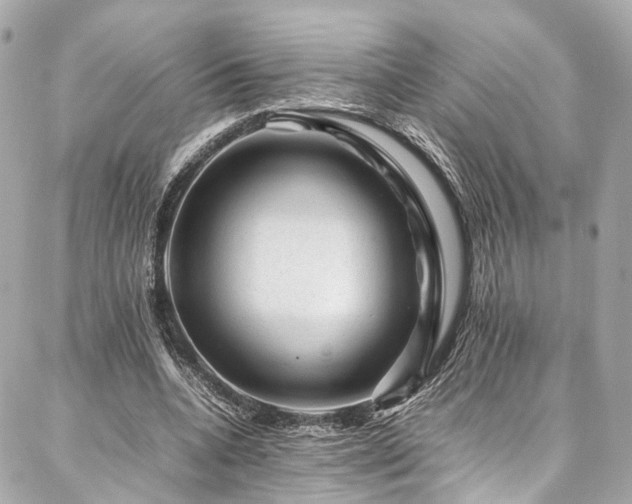 X0000086970536200704161546