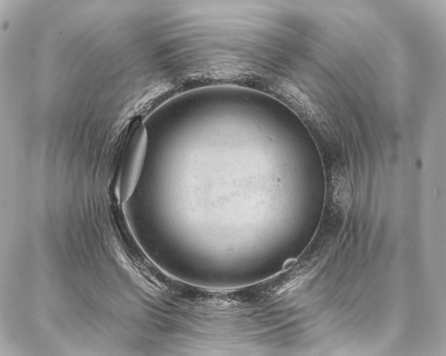 X0000086970542200704161546