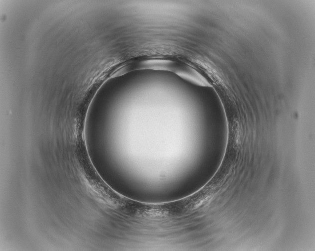 X0000086970546200704161546