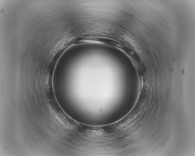 X0000086970548200704161546