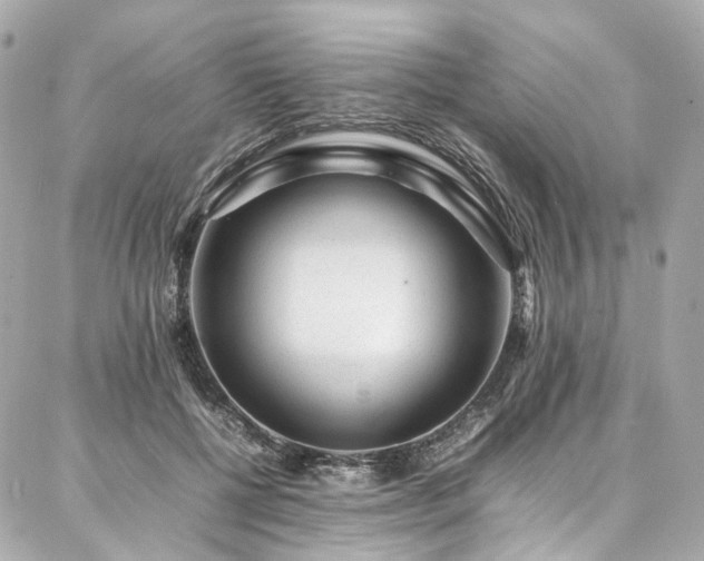 X0000086970552200704161546