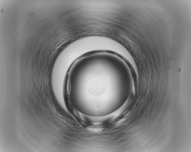 X0000086970556200704161546