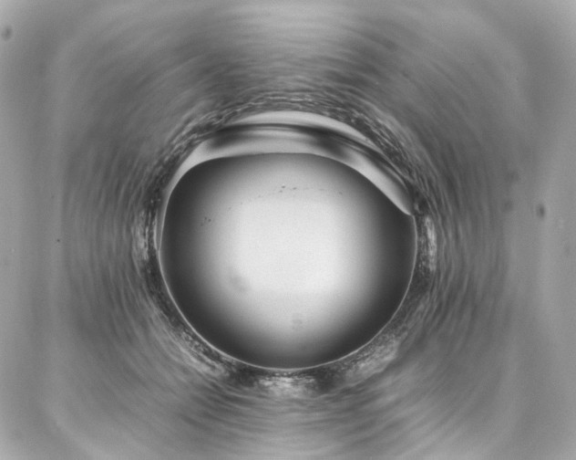 X0000086970558200704161546